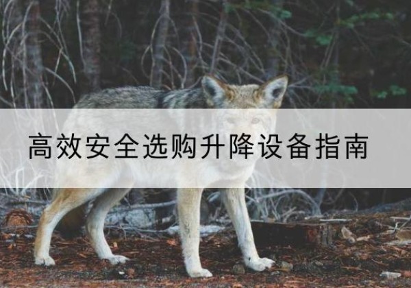 尤溪升降货梯厂家推荐-*安全选购升降设备指南