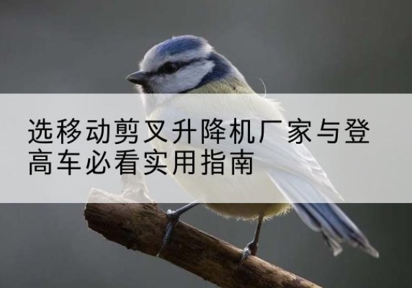 尤溪电动升降机厂家-选移动剪叉升降机厂家与登高车必看实用指南
