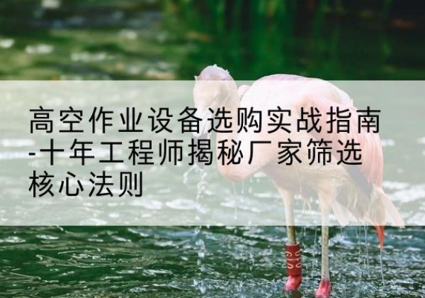 尤溪剪叉式升降机厂家-高空作业设备选购实战指南-十年工程师揭秘厂家筛选核心法则